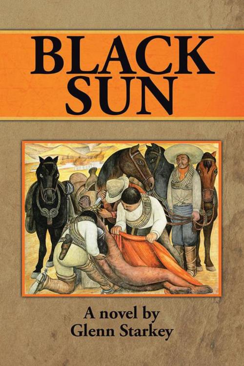 Cover of the book Black Sun by Glenn Starkey, Abbott Press