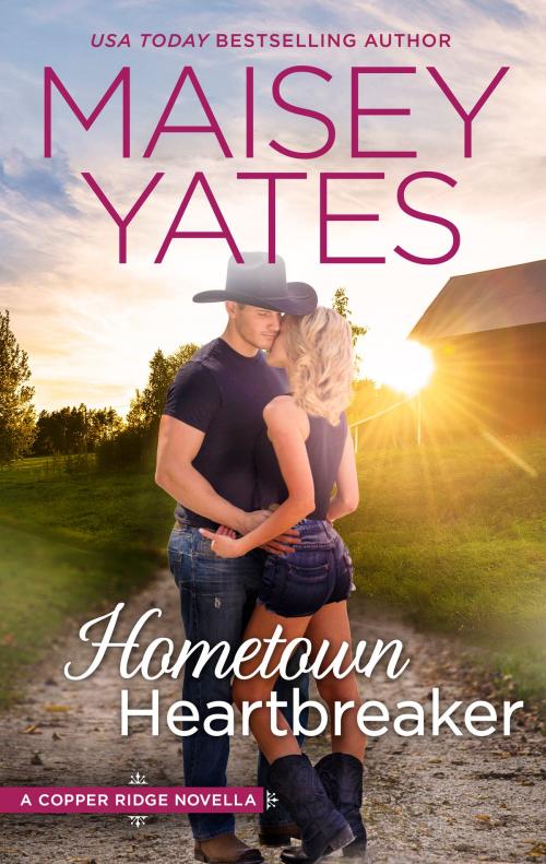 Cover of the book Hometown Heartbreaker by Maisey Yates, HQN Books