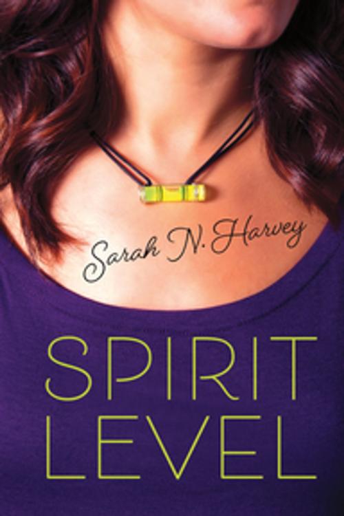 Cover of the book Spirit Level by Sarah N. Harvey, Orca Book Publishers