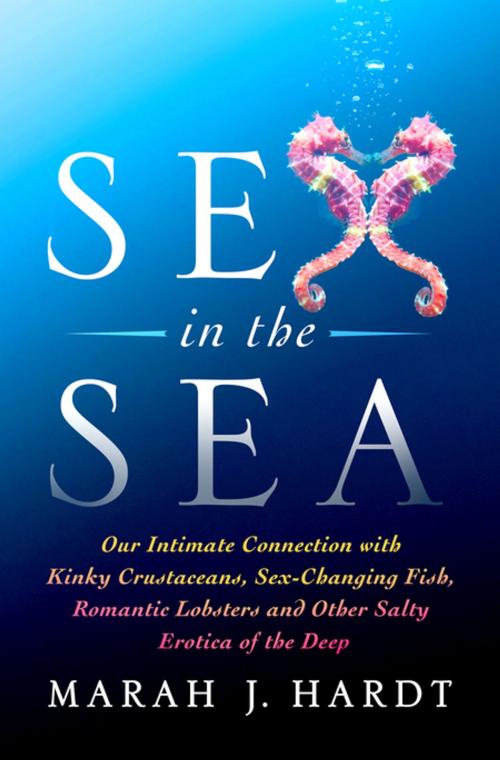 Cover of the book Sex in the Sea by Marah J. Hardt, St. Martin's Press