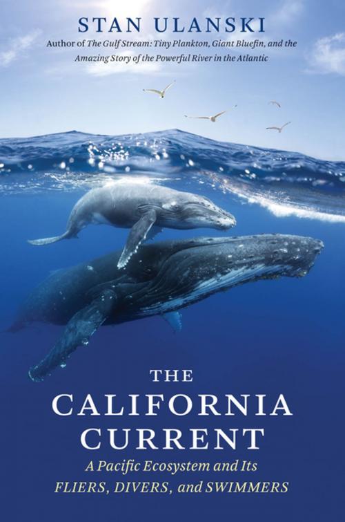 Cover of the book The California Current by Stan Ulanski, The University of North Carolina Press