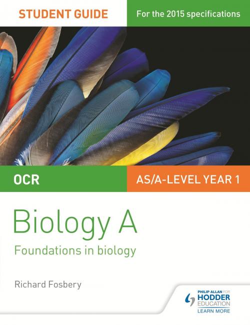 Cover of the book OCR AS/A Level Year 1 Biology A Student Guide: Module 2 by Richard Fosbery, Hodder Education