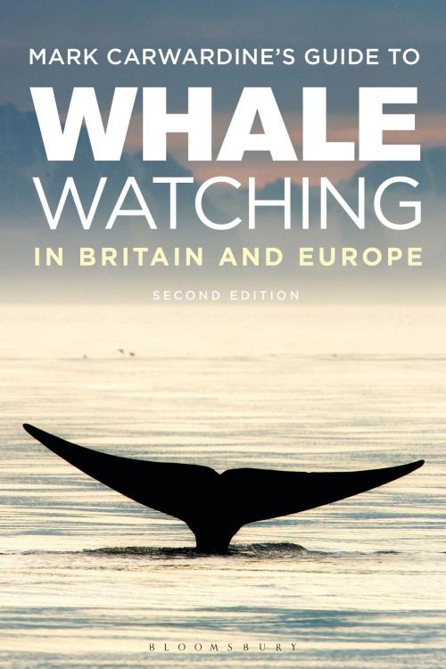 Cover of the book Mark Carwardine's Guide To Whale Watching In Britain And Europe by Mark Carwardine, Bloomsbury Publishing