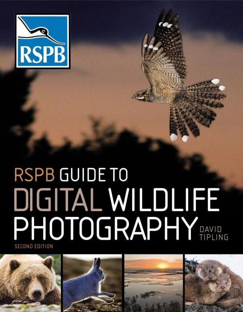 Cover of the book RSPB Guide to Digital Wildlife Photography by David Tipling, Bloomsbury Publishing