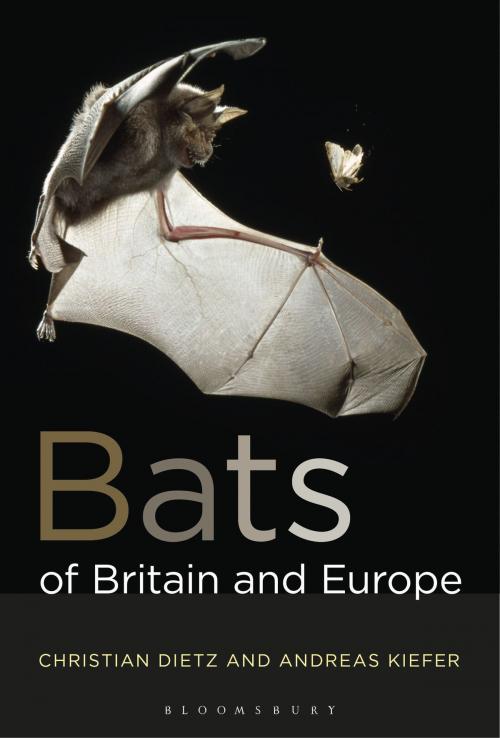 Cover of the book Bats of Britain and Europe by Christian Dietz, Andreas Kiefer, Bloomsbury Publishing