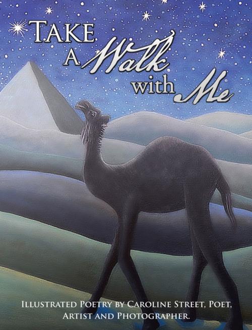 Cover of the book Take a Walk with Me by Caroline Street, Partridge Publishing Africa