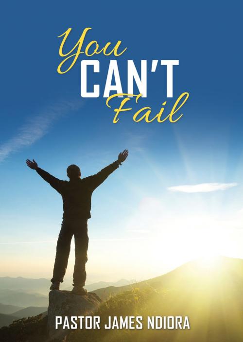 Cover of the book You Can't Fail by Pastor James Ndiora, Word Alive Press