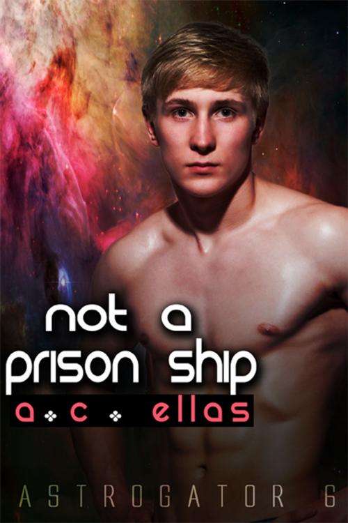 Cover of the book Not a Prison Ship by A.C. Ellas, eXtasy Books Inc