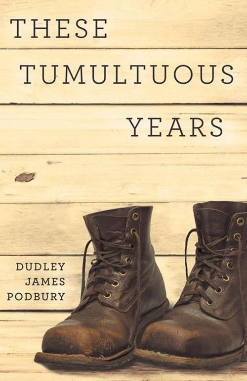 Cover of the book These Tumultuous Years by Dudley James Podbury, iUniverse