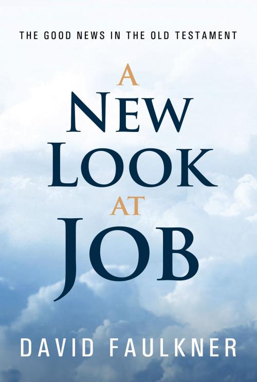 Cover of the book New Look at Job by David Faulkner, Bookmark Publishers