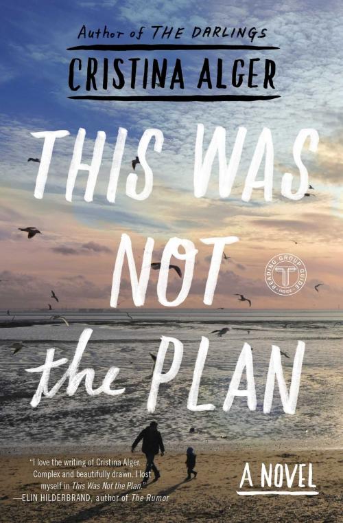 Cover of the book This Was Not the Plan by Cristina Alger, Touchstone