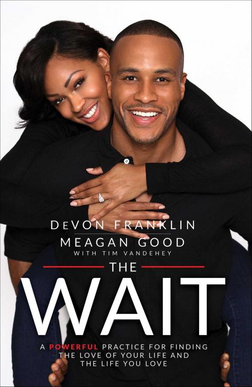Cover of the book The Wait by DeVon Franklin, Meagan Good, Howard Books