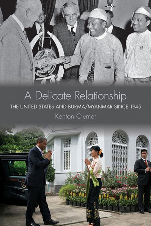 Cover of the book A Delicate Relationship by Kenton Clymer, Cornell University Press