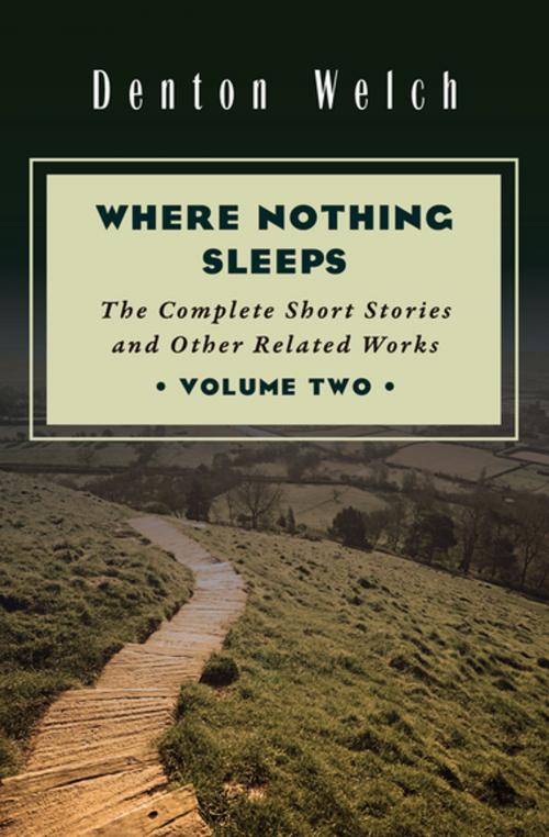 Cover of the book Where Nothing Sleeps Volume Two by Denton Welch, Open Road Media