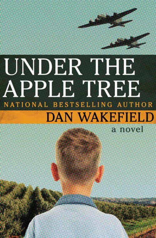 Cover of the book Under the Apple Tree by Dan Wakefield, Open Road Media