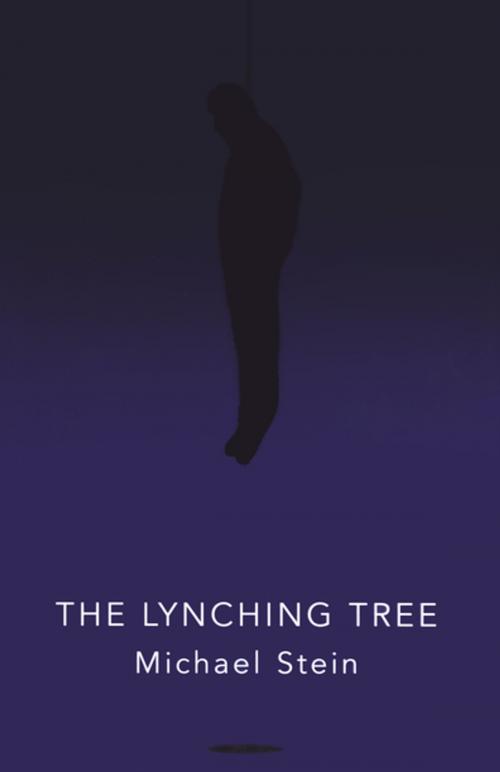 Cover of the book The Lynching Tree by Michael Stein, The Permanent Press (ORD)