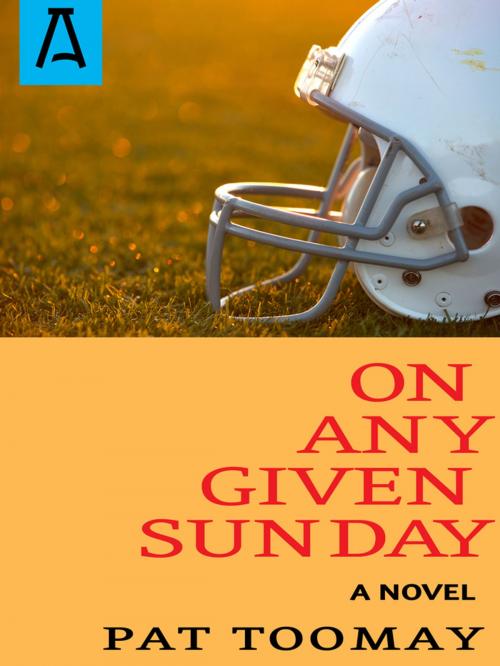 Cover of the book On Any Given Sunday by Pat Toomay, Open Road Distribution