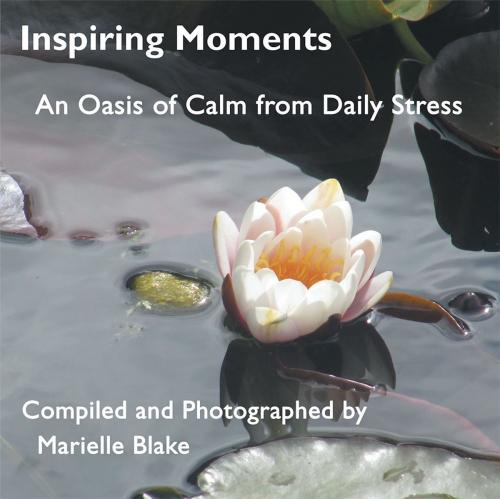 Cover of the book Inspiring Moments by Marielle Blake, Balboa Press
