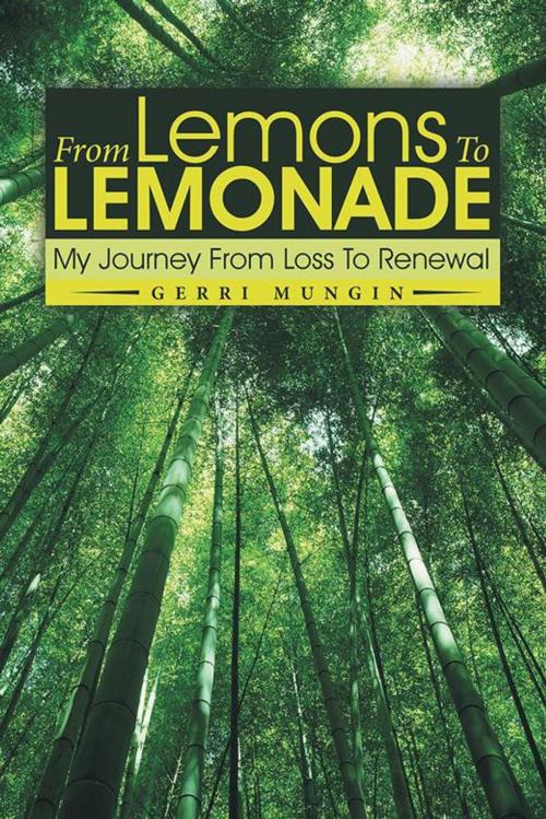Cover of the book From Lemons to Lemonade by Gerri Mungin, Balboa Press