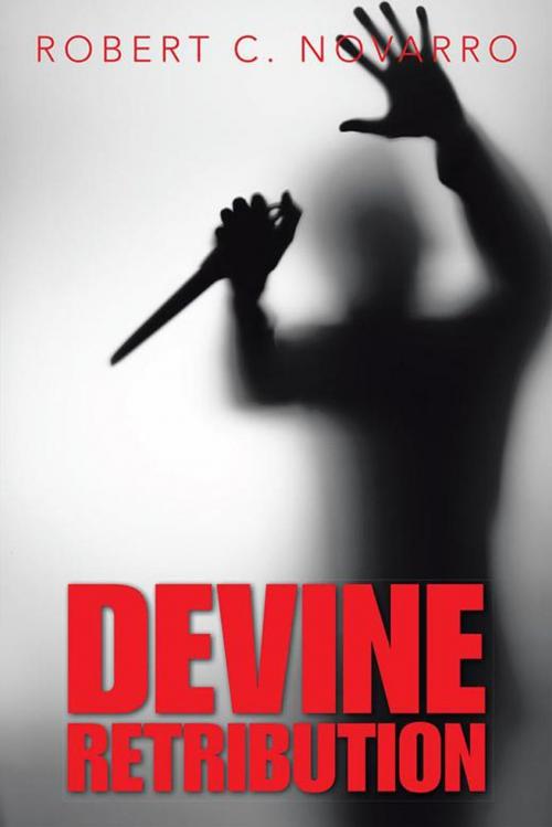 Cover of the book Devine Retribution by Robert Novarro, AuthorHouse