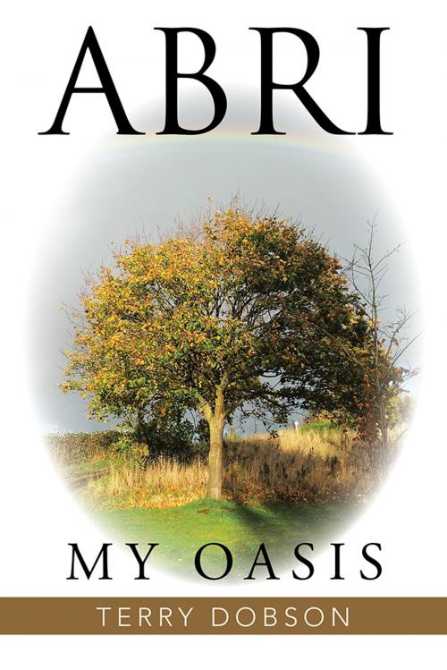 Cover of the book Abri by Terry Dobson, AuthorHouse UK