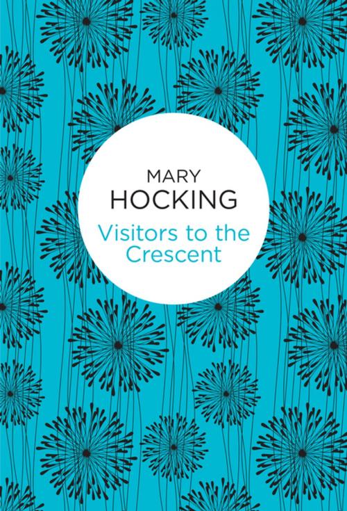Cover of the book Visitors to the Crescent by Mary Hocking, Pan Macmillan