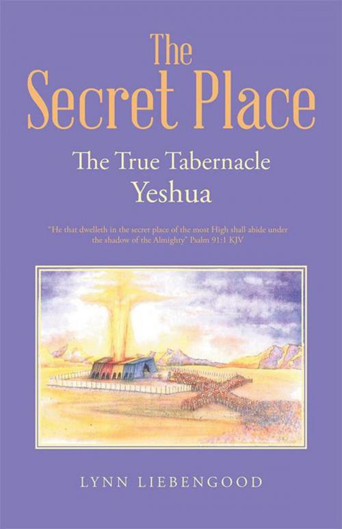 Cover of the book The Secret Place by Lynn Liebengood, WestBow Press