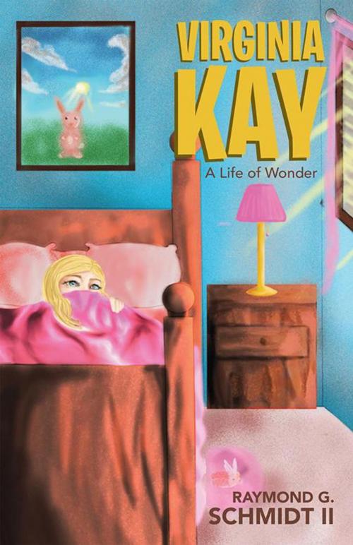 Cover of the book Virginia Kay by Raymond Schmidt II, WestBow Press