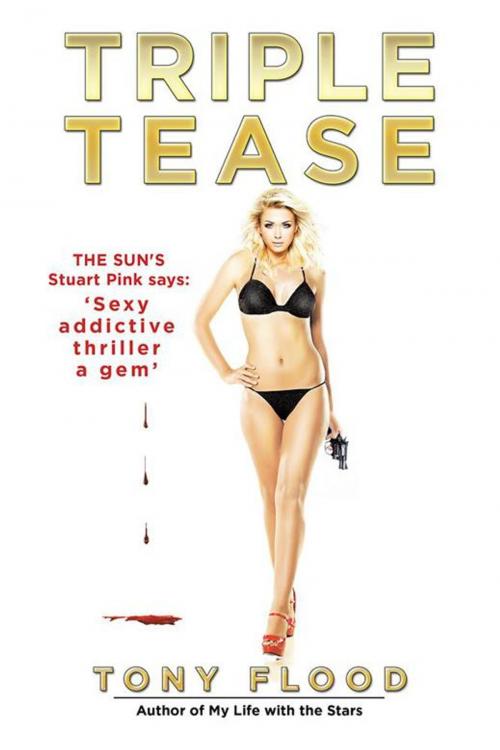 Cover of the book Triple Tease by Tony Flood, Xlibris UK