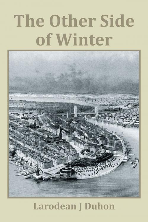 Cover of the book The Other Side of Winter by Larodean Duhon, Xlibris US