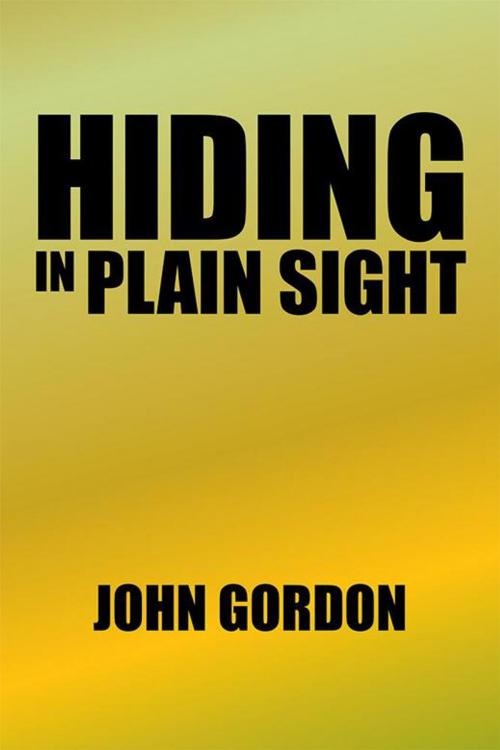 Cover of the book Hiding in Plain Sight by John Gordon, Xlibris US