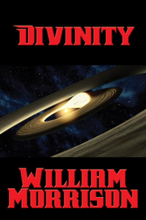 Cover of the book Divinity by William Morrison, Wilder Publications, Inc.