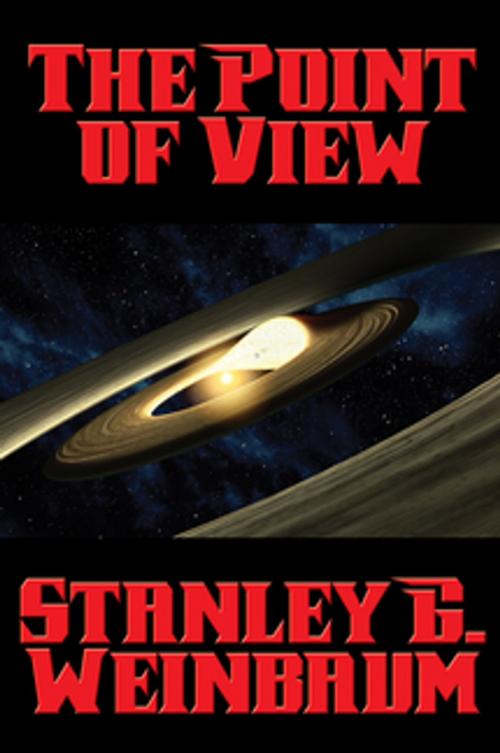 Cover of the book The Point of View by Stanley G. Weinbaum, Wilder Publications, Inc.