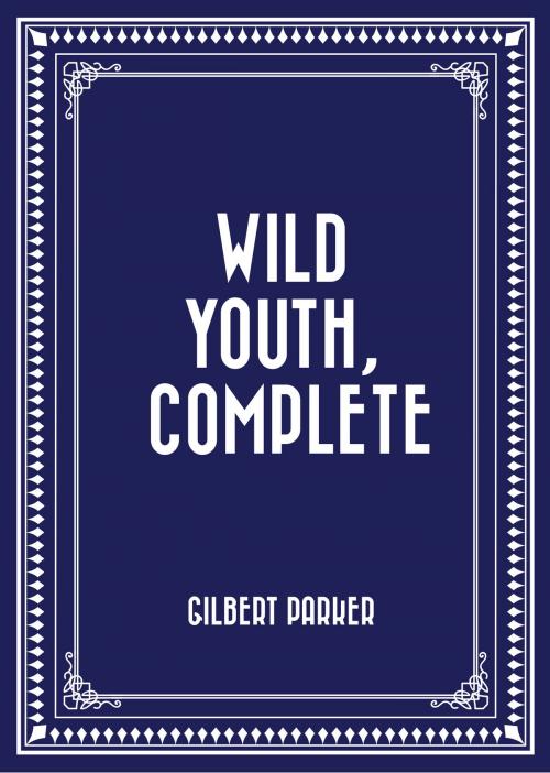 Cover of the book Wild Youth, Complete by Gilbert Parker, Krill Press