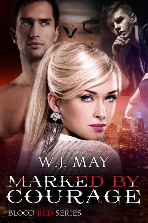 Cover of the book Marked by Courage by W.J. May, Dark Shadow Publishing
