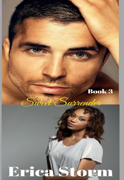 Cover of the book Sweet Surrender by Erica Storm, Erica Storm