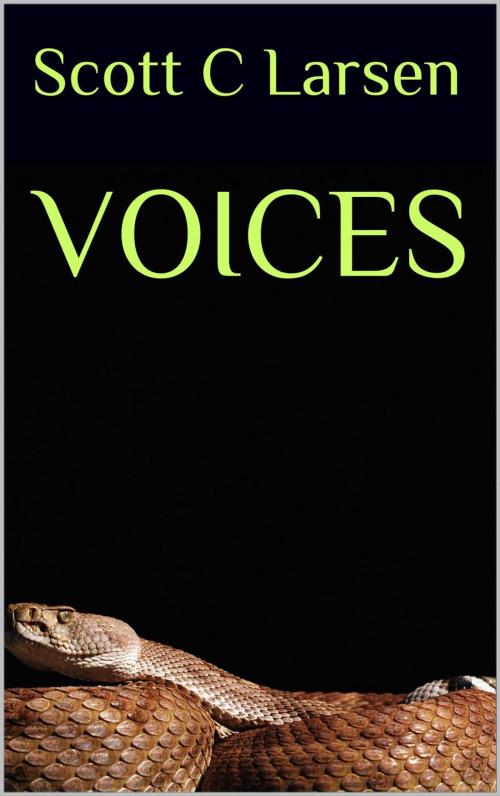 Cover of the book Voices by Scott C Larsen, Scott C Larsen