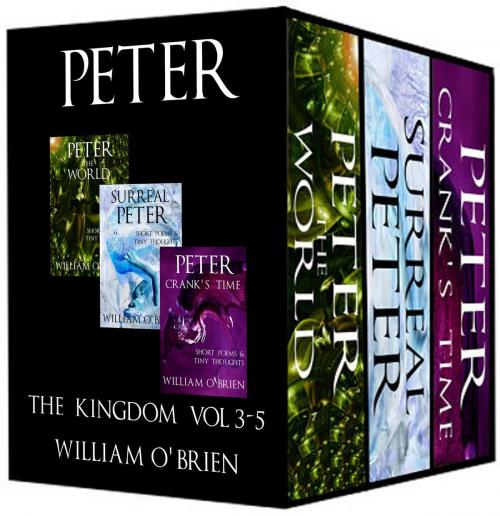 Cover of the book Peter: The Kingdom, Vol 3-5 by William O'Brien, William O'Brien
