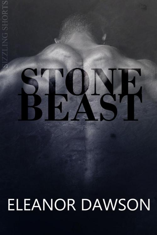 Cover of the book Stone Beast by Eleanor Dawson, Eleanor Dawson