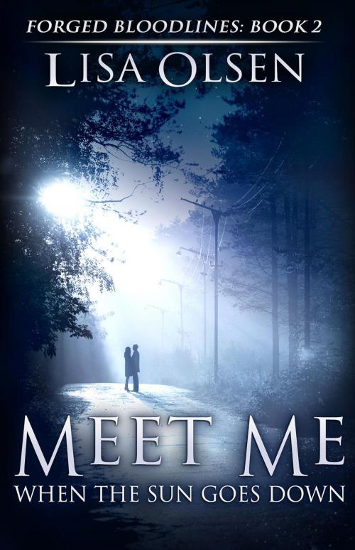 Cover of the book Meet Me When the Sun Goes Down by Lisa Olsen, Lisa Olsen