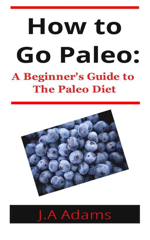 Cover of the book How to Paleo: Beginner's Guide to The Paleo Diet by J.A Adams, NutritionAndDietPlus
