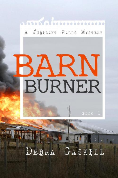 Cover of the book Barn Burner by Debra Gaskill, Debra Gaskill