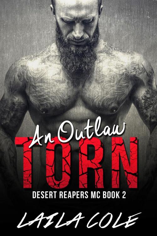 Cover of the book An Outlaw Torn - Book 2 by Laila Cole, Supernova Erotica