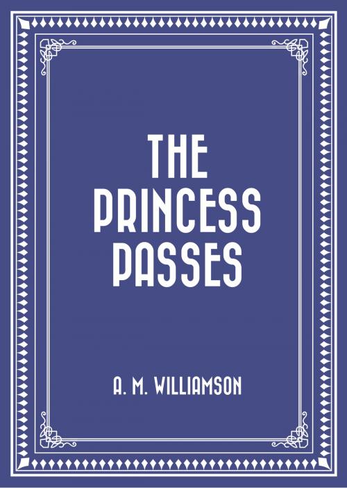 Cover of the book The Princess Passes by A. M. Williamson, Krill Press