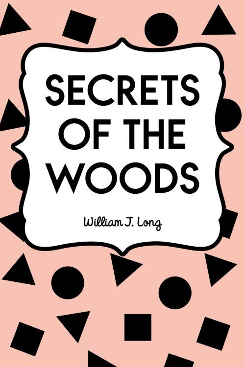 Cover of the book Secrets of the Woods by William J. Long, Krill Press