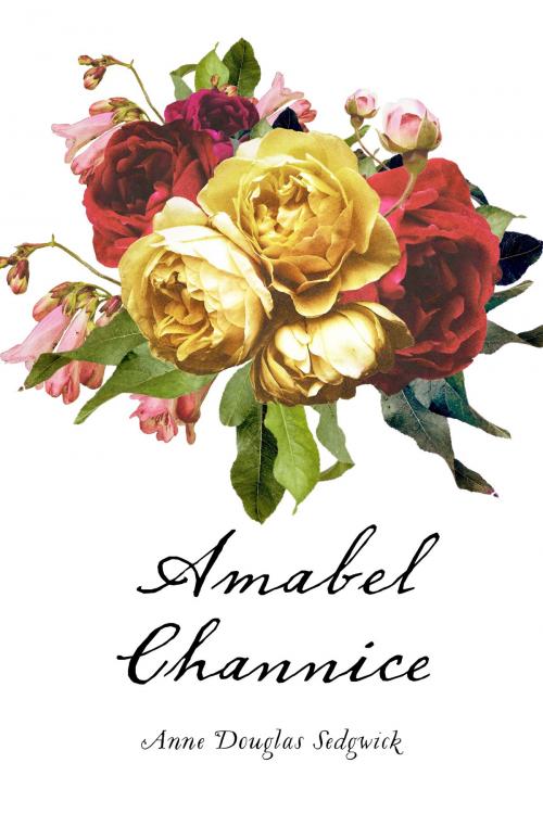 Cover of the book Amabel Channice by Anne Douglas Sedgwick, Krill Press