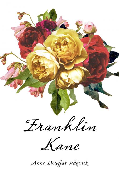 Cover of the book Franklin Kane by Anne Douglas Sedgwick, Krill Press