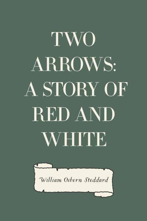 Cover of the book Two Arrows: A Story of Red and White by William Osborn Stoddard, Krill Press