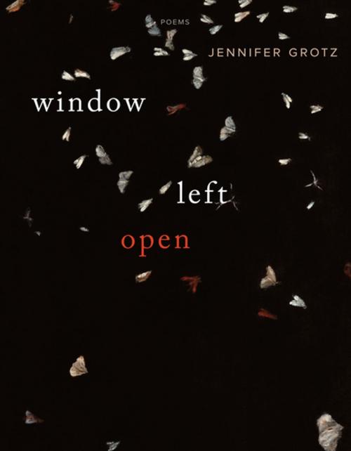 Cover of the book Window Left Open by Jennifer Grotz, Graywolf Press