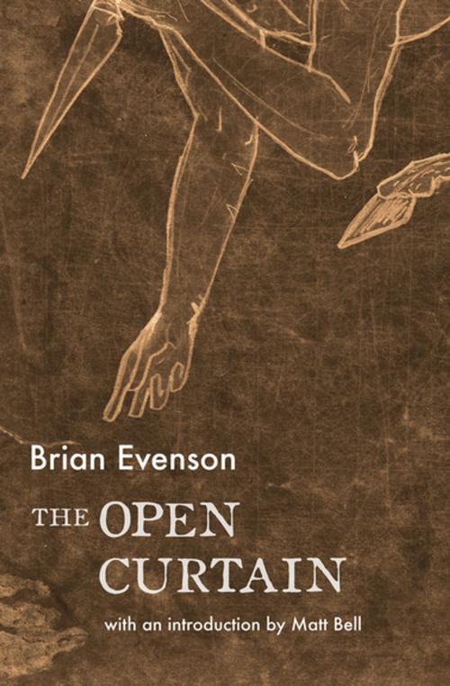 Cover of the book The Open Curtain by Brian Evenson, Coffee House Press
